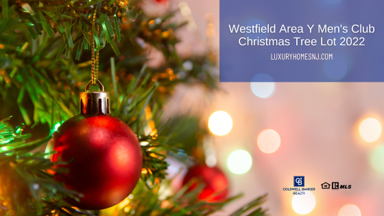 Westfield Area Y Men's Club Christmas Tree Lot