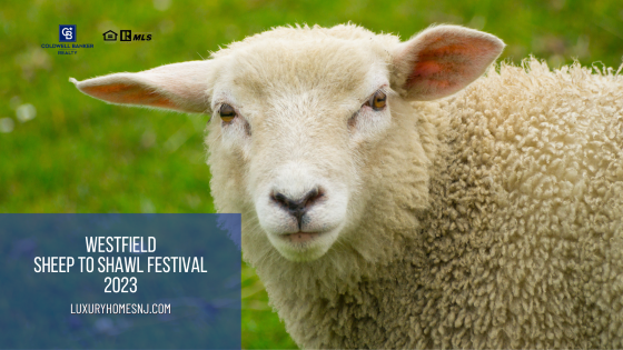 Westfield Sheep to Shawl Festival 2023