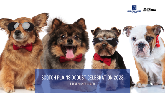 Scotch Plains DOGust Celebration 2023