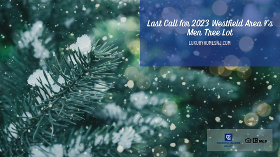Last Call for 2023 Westfield Area Ys Men Tree Lot