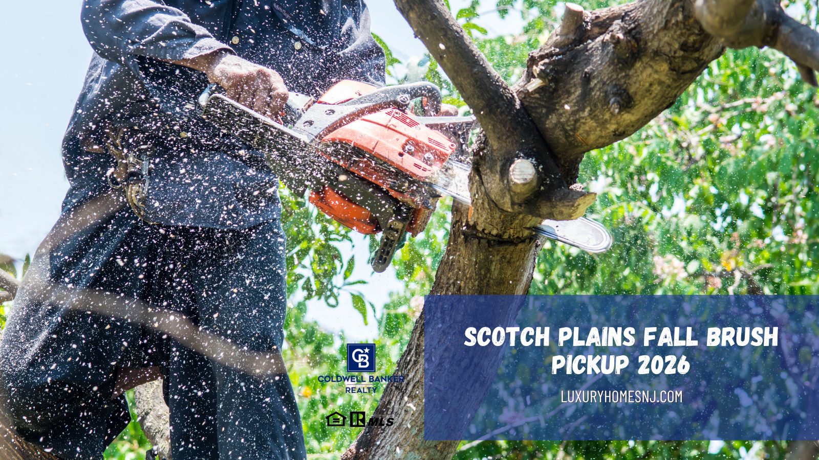 Scotch Plains Fall Brush Pickup 2026